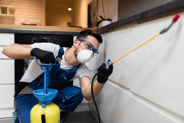 Best Flea Control Services  in Laurie, MO