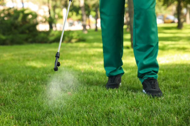 Best Mosquito Control Services  in Laurie, MO