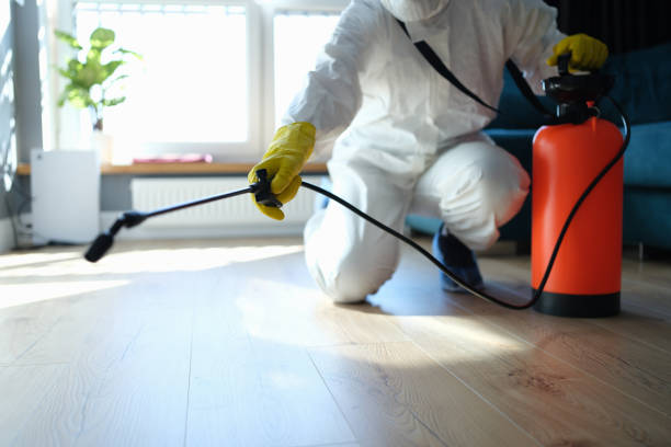 Best Pest Control Treatment  in Laurie, MO