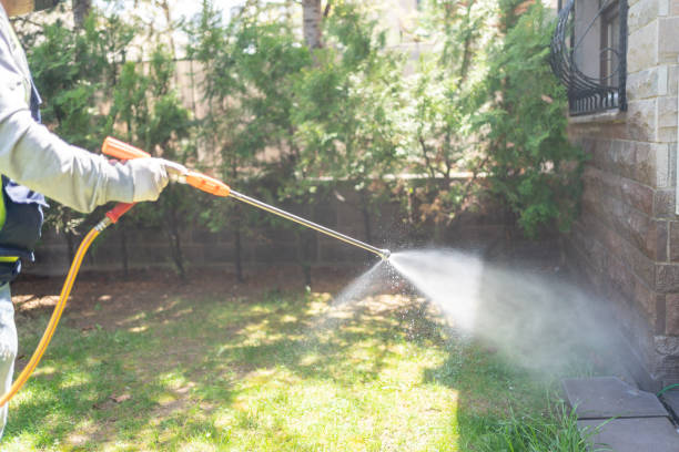 Best Best Pest Control Companies  in Laurie, MO