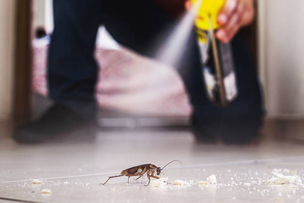 Best Affordable Pest Control Services  in Laurie, MO