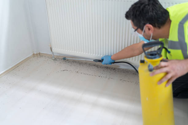 Best Affordable Pest Control Services  in Laurie, MO